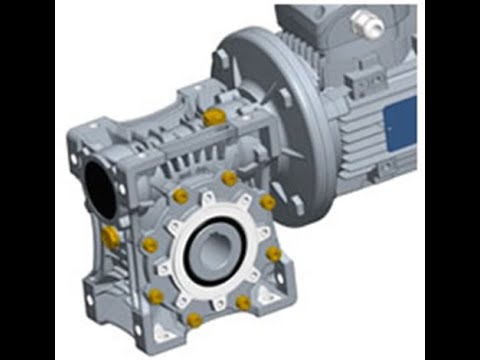 Rotomotive Gearbox