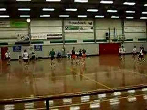 weidevogels A1 in halve finale