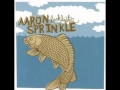 Aaron Sprinkle - What Sorry Could Be 