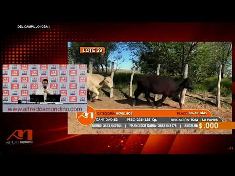 14-10-26 - Remate Televisado de Alfredo S. Mondino  - Del Campillo, Córdoba