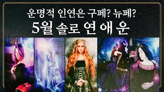 [타로] 5월 솔로 연애운!