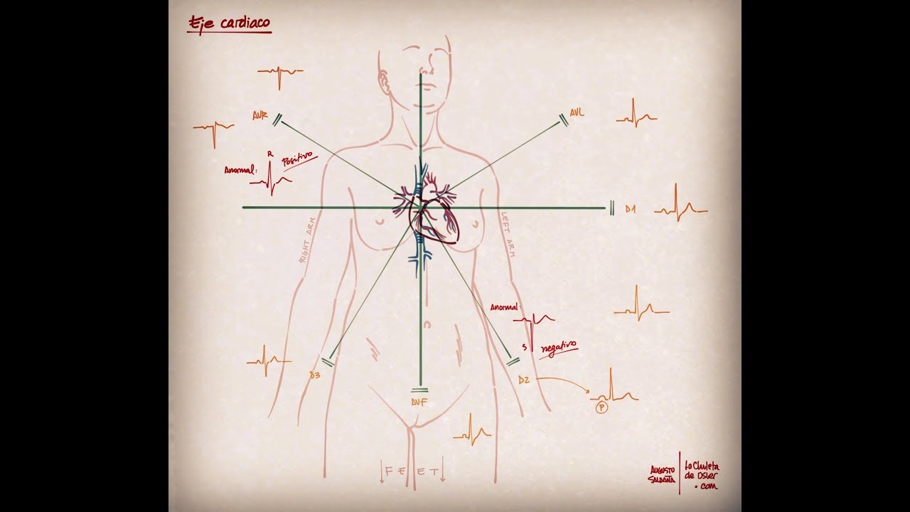 Para entender el eje cardiaco - Una sencilla revisión