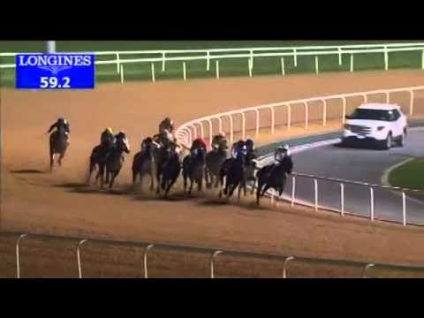 31.12.2014 Meydan (Dubai-UAE) 1.Race EGA Billet Trophy - Maiden 1.600 m