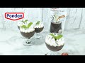 Pondan Pudding Flan Chocolate