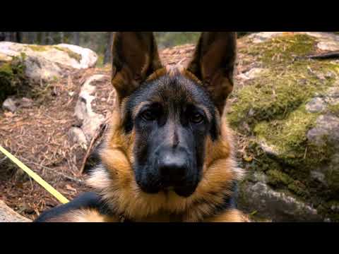 Fredagsfys med Sebastian