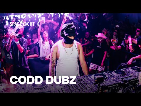 Codd Dubz | Big Bass Ting 360
