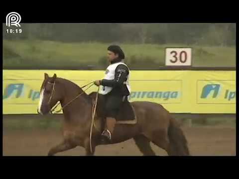 Classificatória Região Sul – 6° lugar fêmeas – Dinastia da Rio Bonito (Prova: Bayard/Sarmento)