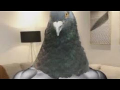 SCP-6679: Da biggest bird: Keter: Humanoid/Avian