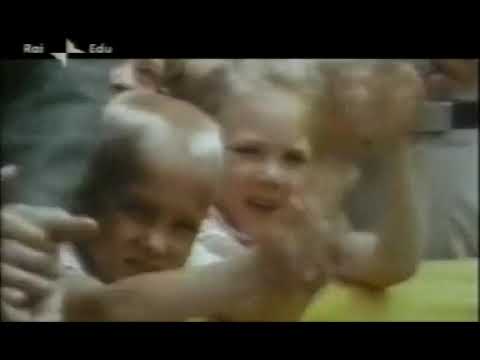 La storia siamo noi - il Vietnam di Johnson