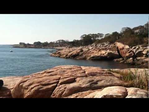 Water's edge at Rafes Chasm Park in Gloucester