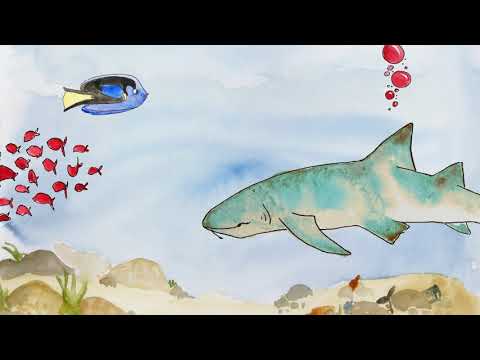 PSA de consumo de pescado de agua salada