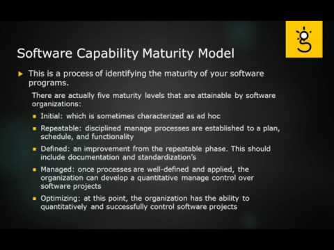 1 Business Realization