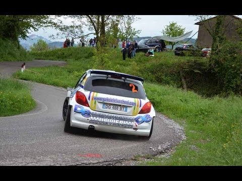 29° RALLY DELLA VAL DI NIEVOLE