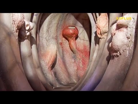 Ob atopitscheski die Hautentzündung ohne Jucken sein kann Der Stress wie beeinflusst das Ekzem