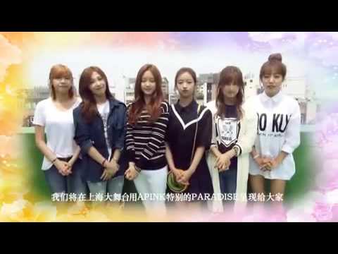 150517 Apink greetings for Pink Paradise in Shanghai