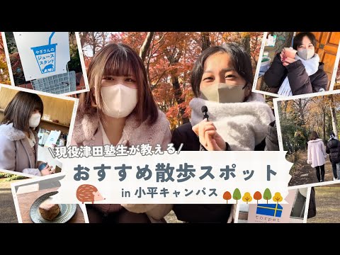 総合政策学科 【Vlog】津田塾大学周辺おすすめお散歩スポット！~小平編~