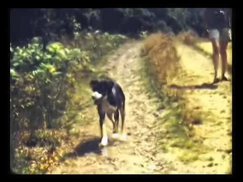 1964 - unknown wedding - bits and pieces 60s and 70s