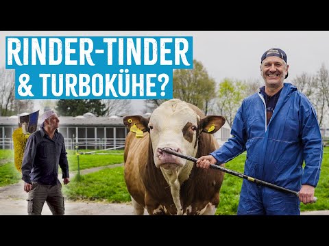 Rinder-Tinder und Turbokühe? | Fleischi entdeckt die moderne Rinderzucht