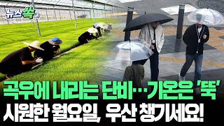 '곡우'에 내리는 단비…더위는 쫓아내고 곡식은 살찌우고｜월요일 전국에 비…두 달 앞서간 날씨, 제자리로 돌아옵니다 [뉴스쏙] / 연합뉴스TV(YonhapnewsTV)