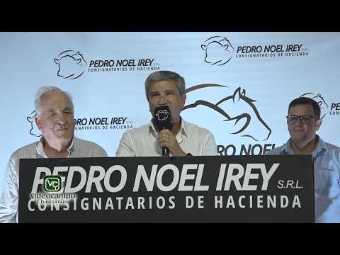 Pedro Noel Irey - Remate en Gral  Lavalle 30/03/2026