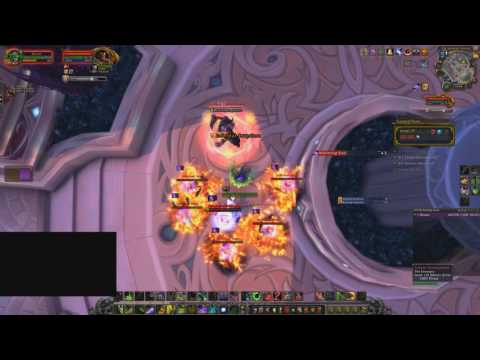 Solo: +19 Court of Stars (Bursting, Skittish, Tyrannical)