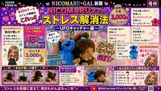 【UFOキャッチャー】NICOMARUママのストレス解消法💜ガングロモンチッチ狙いがまさかのスンスンGET🤣