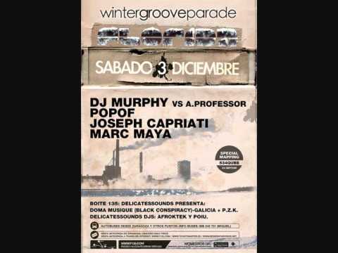 DJ Murphy vs A.Professor WINTERGROOVEPARADE 3.12.11 Florida 135.wmv