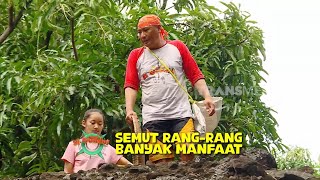 Download lagu Kebab Ratu Sireum | JEJAK SI GUNDUL (25/11/25) mp3 Download lagu Kebab Ratu Sireum | JEJAK SI GUNDUL (25/11/25) mp3
