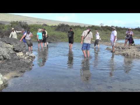 ISABELA ISLAND - URBINA BAY in GALAPAGOS