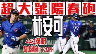 [討論] 大家還記得林安可東蛋那轟嗎？