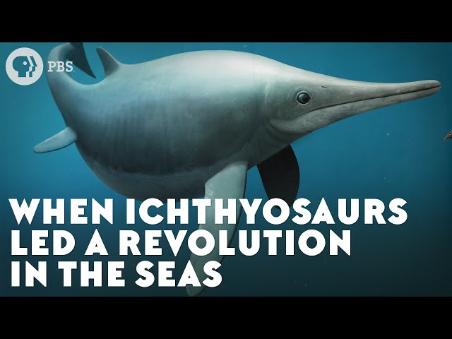 הגיית וידאו של Ichthyosaurs בשנת אנגלית