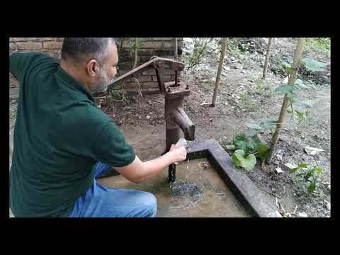 আঞ্চলিক পরীক্ষাগার এর জন্য পানির নমুনা সংগ্রহ করা এবং নমুনা পাঠানো (উপজেলা অফিস)