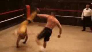 Cartel de santa -- warrior