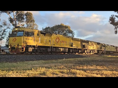 1PM1 Aurizon up Superfreighter (ACD ACD G, 85P), Perth to Melbourne, 1930, 22/10/25, Horsham VIC 