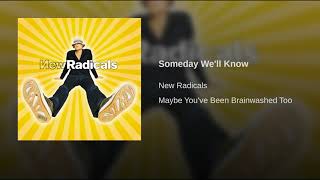 Someday We&#39;ll Know - New Radicals