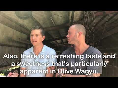 Olive Wagyu Television Interview (w/ Michelin-star Chef Mike Bagale)