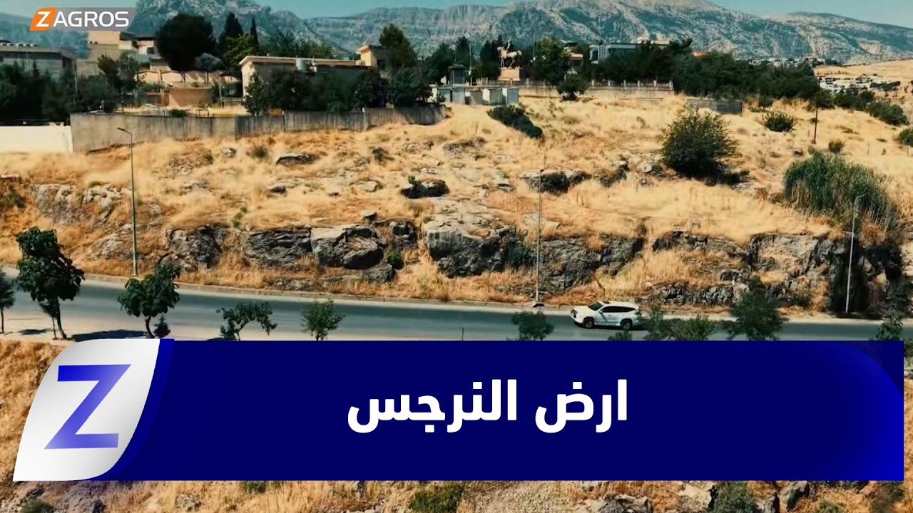 فيديو | ارض النرجس زاخو
