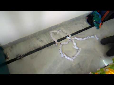 Rupam's card in snake