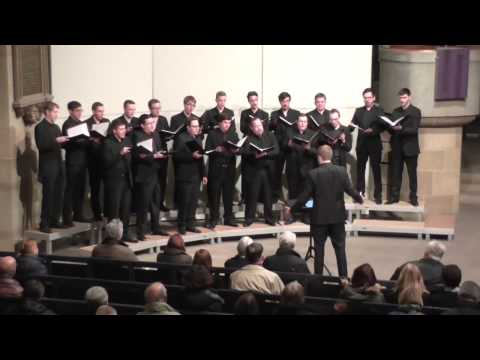 Ensemble Vocapella Limburg | "If Ye Love Me" Thomas Tallis (2015)