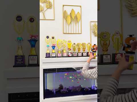 YouTube · RYPANDA FAMILY — Kegiatan seru bareng si kecil, bikin momen yang tak terlupakan! 🥰✨
