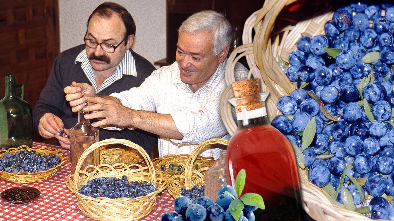 EL PACHARÁN. Elaboración artesanal de este LICOR de arañones, café y anís en el Pirineo | Documental