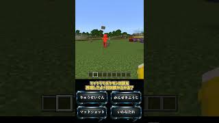 【この再現コマンドは何？】 #マイクラ #コマンド #minecraft #統合版