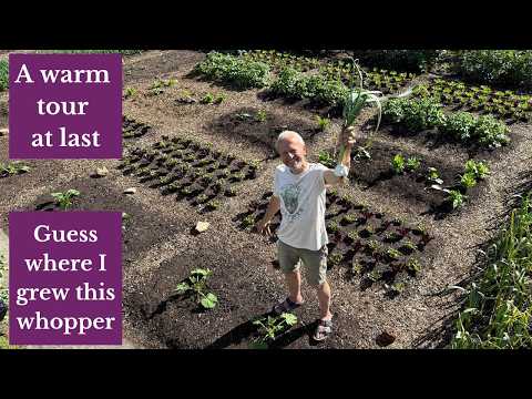 Late May No Dig Garden Tour: Frosts Fade and Heat Arrives