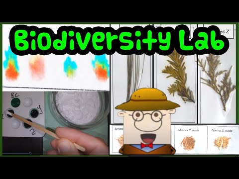Relationships And Biodiversity Answer Key
