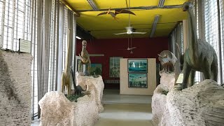 preview picture of video 'Chandigarh - Govt Museum and Art Gallery - must visit'