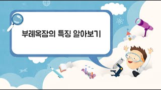 4학년 2학기 과학 : 부레옥잠의 특징