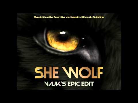 David Guetta feat. Sia vs. Sandro Silva & Quintino - She Wolf (Vajk's Epic Edit)