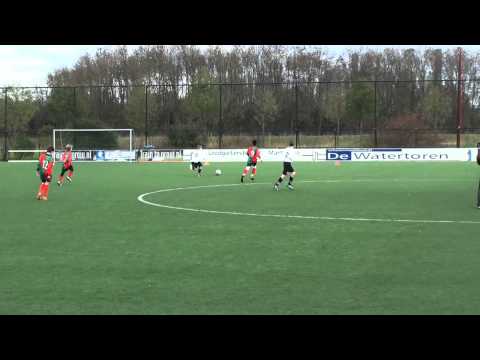 Samenvatting JSV E1 - Zuidvogels E1