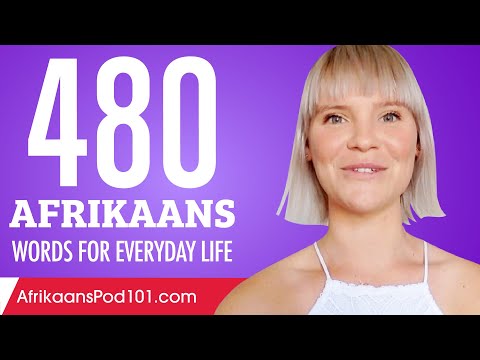 480 Afrikaans Words for Everyday Life - Basic Vocabulary #24