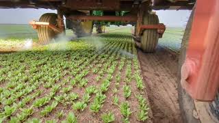 [問卦] 別人的Ai取代人力 不是口號吧？